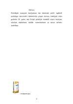 Referāts 'Celtniecības sausie maisījumi', 3.