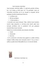 Referāts 'Celtniecības sausie maisījumi', 9.