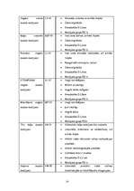 Referāts 'Celtniecības sausie maisījumi', 13.