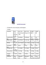 Referāts 'Celtniecības sausie maisījumi', 20.