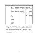 Referāts 'Celtniecības sausie maisījumi', 21.