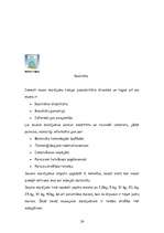 Referāts 'Celtniecības sausie maisījumi', 23.