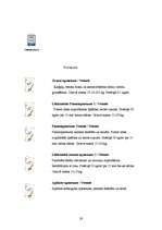 Referāts 'Celtniecības sausie maisījumi', 27.