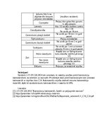 Konspekts 'Kokmateriāli atbilstoši LVS EN 336', 4.