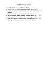 Eseja 'Mācību organizācijas pamati', 6.