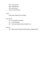 Paraugs 'CV pareizrakstība', 2.