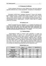 Biznesa plāns 'SIA "Interneta pasaule"', 7.