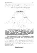 Biznesa plāns 'SIA "Interneta pasaule"', 12.