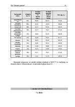 Biznesa plāns 'SIA "Interneta pasaule"', 24.