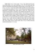 Referāts 'Vēsture Rīgas ielu labirintos', 26.