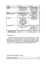 Referāts 'Limfocīti', 5.