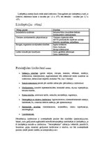 Referāts 'Limfocīti', 7.