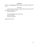 Referāts 'Darba līguma uzteikums ar tiesu praksi', 29.