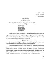 Referāts 'Darba līguma uzteikums ar tiesu praksi', 35.