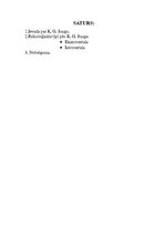 Referāts 'Psiholoģiskie tipi', 1.