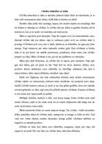 Eseja 'Cilvēka attiecības ar dabu', 1.