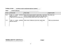 Referāts 'Aprūpes plāns', 13.