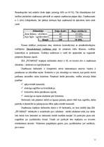 Biznesa plāns 'SIA "Picamax"', 13.