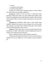 Biznesa plāns 'SIA "Picamax"', 16.