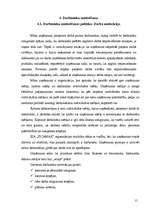 Biznesa plāns 'SIA "Picamax"', 17.