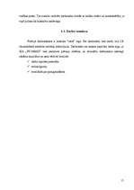 Biznesa plāns 'SIA "Picamax"', 19.