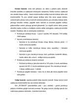 Biznesa plāns 'SIA "Picamax"', 21.