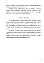 Biznesa plāns 'SIA "Picamax"', 24.