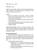 Konspekts 'Runas attīstības rotaļnodarbības konspekts', 2.