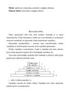 Referāts 'Ekonomikas būtība un svarīgākie jēdzieni', 4.