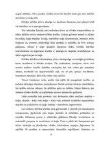 Diplomdarbs 'Mūsdienu glābšanas līdzekļu analīze', 12.