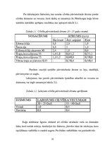 Diplomdarbs 'Mūsdienu glābšanas līdzekļu analīze', 20.