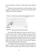 Diplomdarbs 'Mūsdienu glābšanas līdzekļu analīze', 23.