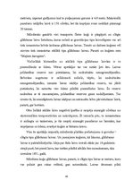 Diplomdarbs 'Mūsdienu glābšanas līdzekļu analīze', 40.