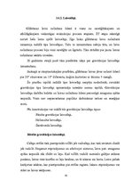 Diplomdarbs 'Mūsdienu glābšanas līdzekļu analīze', 42.