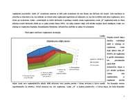 Referāts 'Stratēģiskais projekts. Klasiskā SVID analīze uzņēmumā "X"', 7.