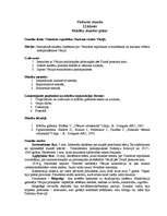 Konspekts 'Stundas plāns vēsturē - Anglijas konstitucionālā monarhija', 4.