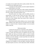 Referāts 'Bērna vajadzības', 6.