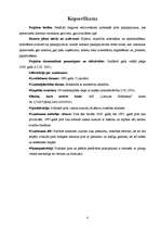 Biznesa plāns 'SIA "N un N"', 4.