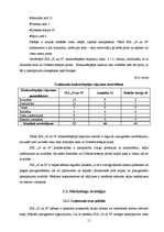 Biznesa plāns 'SIA "N un N"', 11.