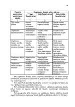 Diplomdarbs 'Ražošanas uzņēmuma attīstības modelis Latvijā', 49.