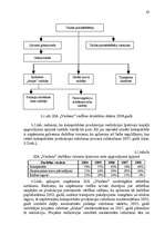 Diplomdarbs 'Ražošanas uzņēmuma attīstības modelis Latvijā', 63.
