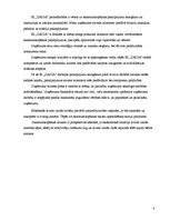 Biznesa plāns 'IK "Zaiga" biznesa plāns', 4.