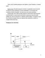 Biznesa plāns 'IK "Zaiga" biznesa plāns', 8.