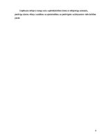 Biznesa plāns 'IK "Zaiga" biznesa plāns', 9.