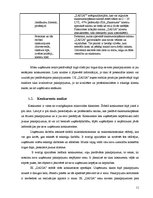 Biznesa plāns 'IK "Zaiga" biznesa plāns', 11.