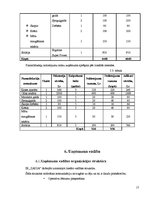 Biznesa plāns 'IK "Zaiga" biznesa plāns', 17.