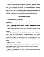 Biznesa plāns 'IK "Zaiga" biznesa plāns', 19.