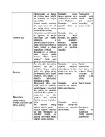 Paraugs 'Kvalifikācijas eksāmens pirmsskolas skolotāja specialitātē', 4.