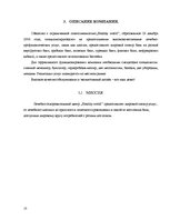 Biznesa plāns 'Комплекс развлечений "Healthy world"', 10.