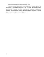 Biznesa plāns 'Комплекс развлечений "Healthy world"', 18.